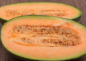 普通人可以吃哈密瓜吗,适合普通人享用的美味水果