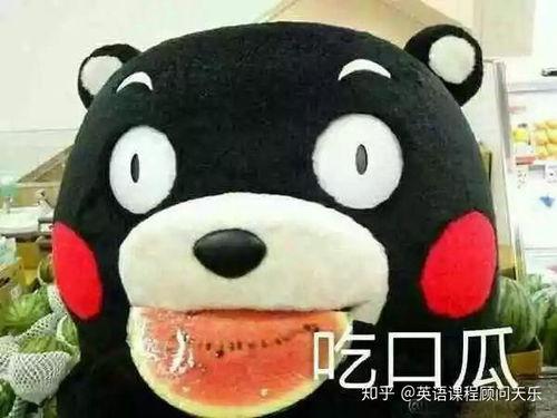 以什么心态吃瓜,品味生活百态的“吃瓜”之旅