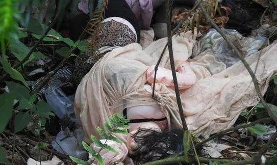 吃瓜尸体,一场离奇事件的背后真相