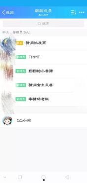 群聊名称吃瓜群名字,网络社交的趣味与争议