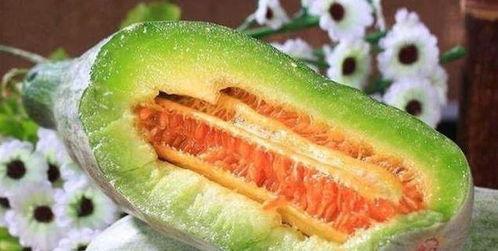 神仙瓜可以吃吗,美味与营养并存，食用指南揭秘