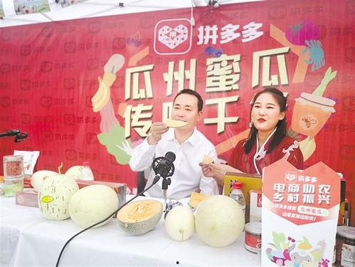 县长吃蜜瓜,蜜瓜盛宴背后的故事