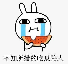 蹭流量吃瓜,揭秘网络时代的“免费午餐”现象